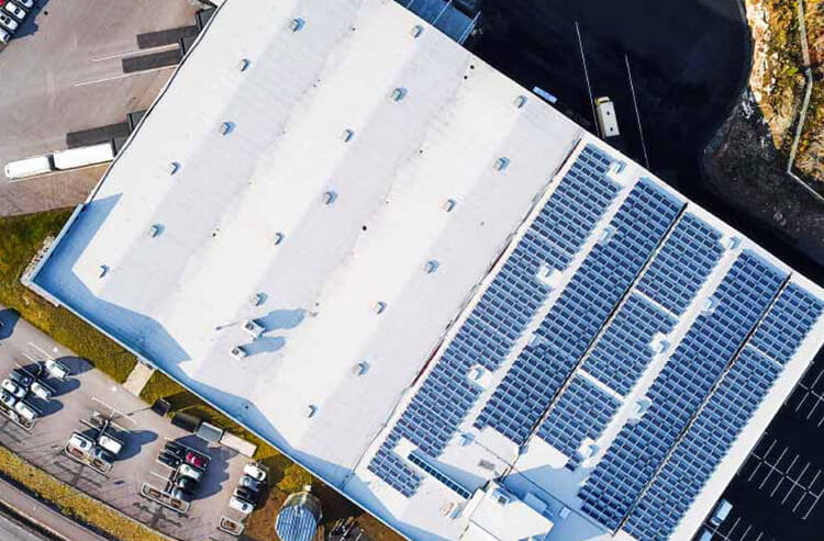 Lager vækster for fremtiden