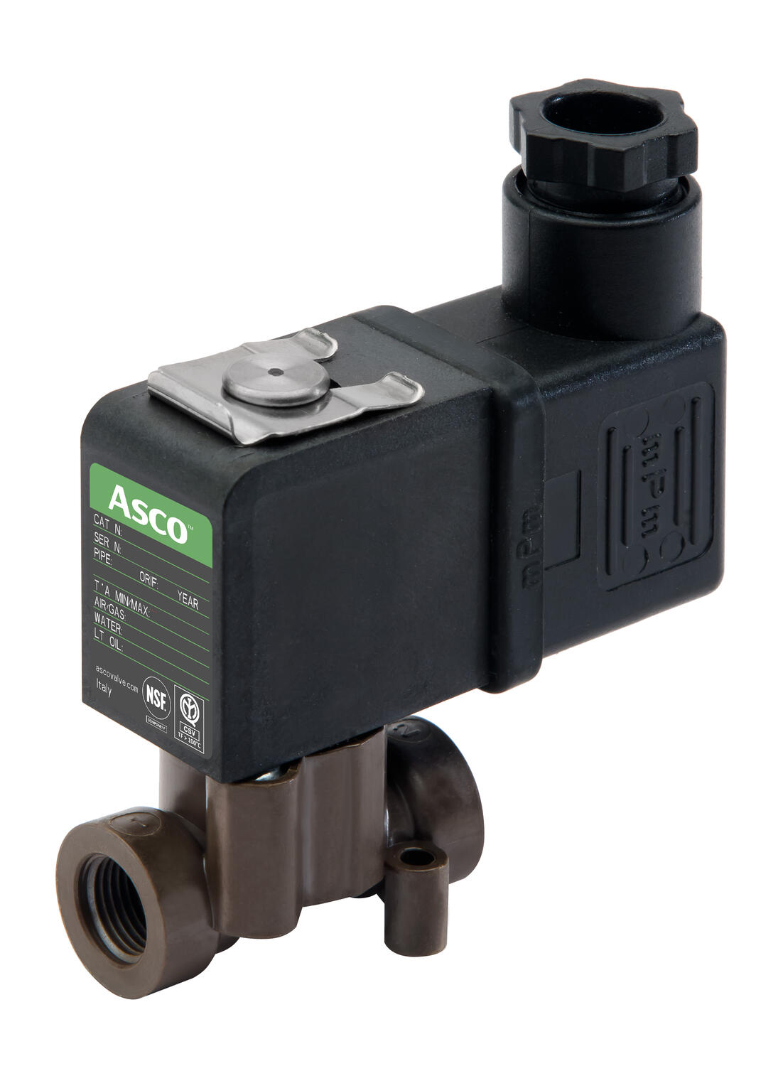 256 Composite_G-Thread.jpg