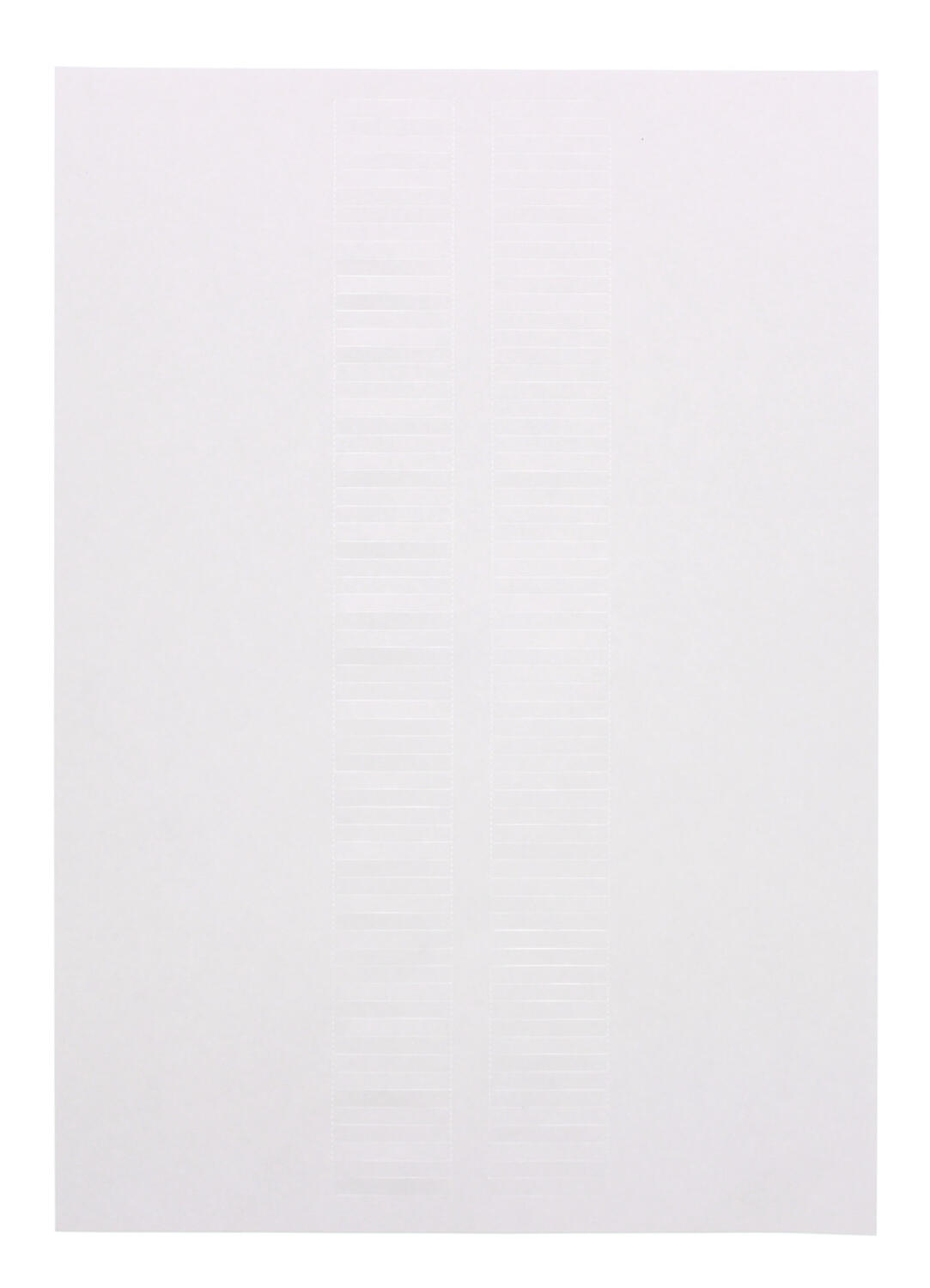 2585_0.jpg