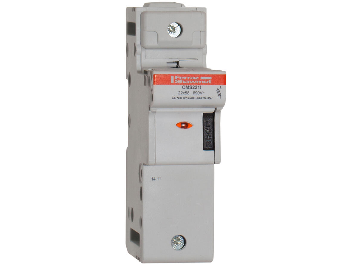 CMS221I.jpg
