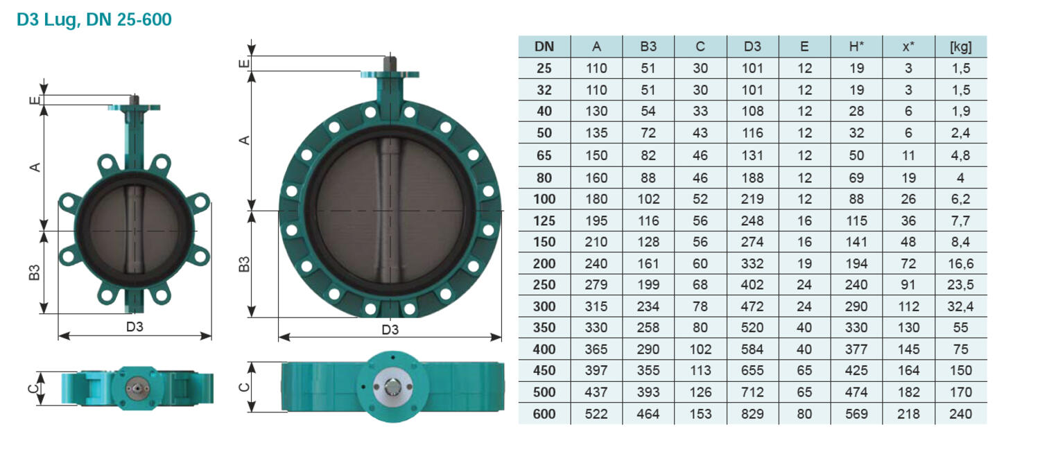 D3 Lug, DN 25-600.PNG