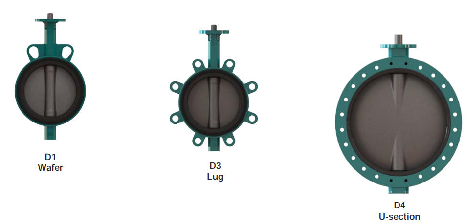 Desponia body type.PNG