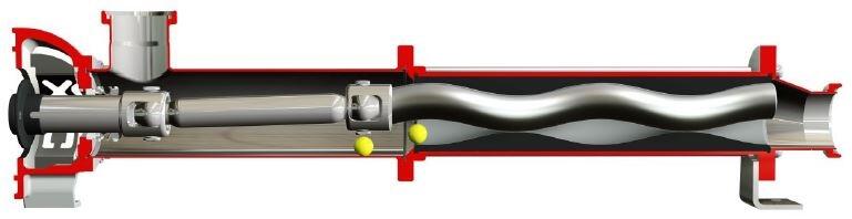 DXO particle section.jpg