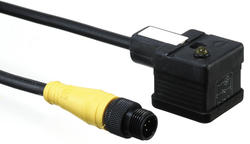 Molex M8/M12-DIN A/DIN B industriel indstøbt kabel