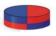 magnet_circular.jpg