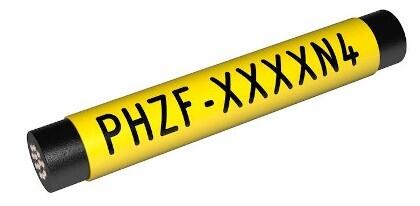 PHZF_yellow.jpg