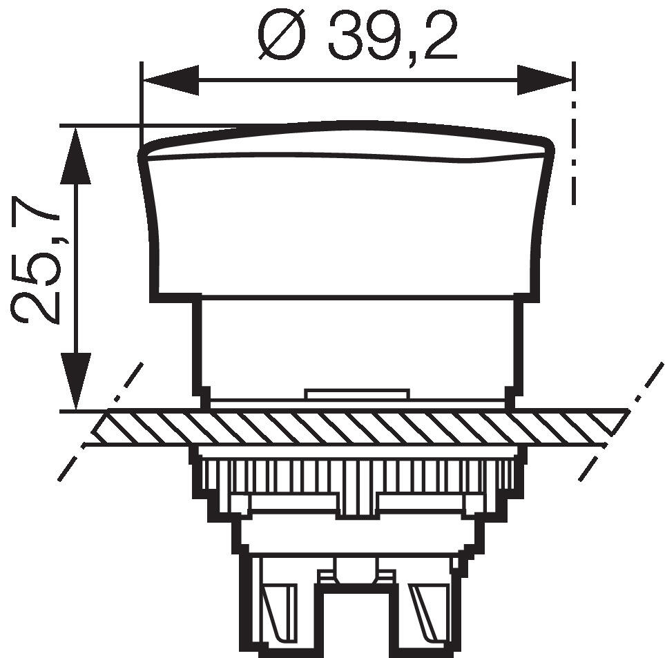 Sponge snap Illuminted 