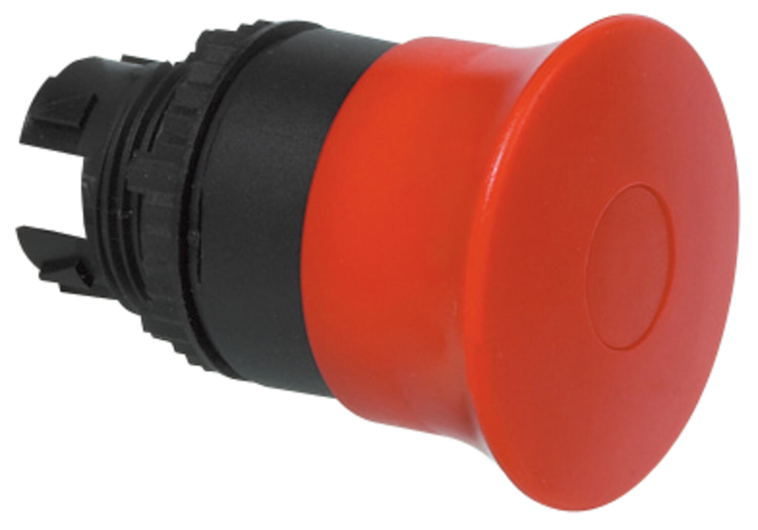 Sponge snap unlighted 